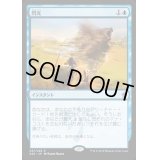 [EX+]閃光/Flash《日本語》【A25】