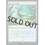 [HPLD]溢れかえる果樹園/Flooded Grove《日本語》【A25】