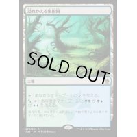 [HPLD]溢れかえる果樹園/Flooded Grove《日本語》【A25】