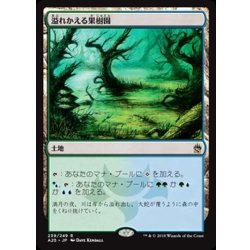 画像1: [EX+]溢れかえる果樹園/Flooded Grove《日本語》【A25】