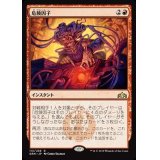 危険因子/Risk Factor《日本語》【GRN】