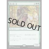 (プレリリースFOIL)獣に囁く者/Beast Whisperer《日本語》【GRN】