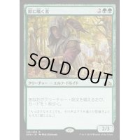 (プレリリースFOIL)獣に囁く者/Beast Whisperer《日本語》【GRN】