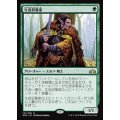 (FOIL)生皮収集家/Pelt Collector《日本語》【GRN】