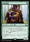 (FOIL)生皮収集家/Pelt Collector《日本語》【GRN】