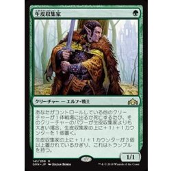 画像1: (FOIL)生皮収集家/Pelt Collector《日本語》【GRN】