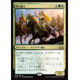 秋の騎士/Knight of Autumn《日本語》【GRN】