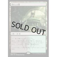 [EX](FOIL)(プロモスタンプ)草むした墓/Overgrown Tomb《日本語》【GRN】