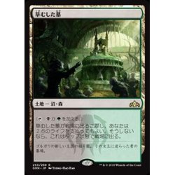 画像1: [EX](FOIL)草むした墓/Overgrown Tomb《日本語》【GRN】