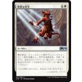 敬虔な命令/Devout Decree《日本語》【M20】
