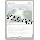 [EX](FOIL)(プロモスタンプ)神聖の力線/Leyline of Sanctity《日本語》【M20】