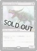 [PLD]朽ちゆくレギサウルス/Rotting Regisaur《日本語》【M20】