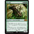 (FOIL)茨の騎兵/Cavalier of Thorns《日本語》【M20】