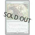 (FOIL)茨の騎兵/Cavalier of Thorns《日本語》【M20】