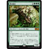 [EX+]茨の騎兵/Cavalier of Thorns《日本語》【M20】