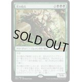 [HPLD]茨の騎兵/Cavalier of Thorns《日本語》【M20】