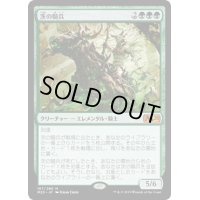 [HPLD]茨の騎兵/Cavalier of Thorns《日本語》【M20】