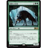 夜群れの伏兵/Nightpack Ambusher《日本語》【M20】