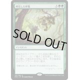 [EX]呼応した呼集/Shared Summons《日本語》【M20】