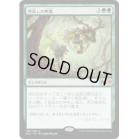 [EX]呼応した呼集/Shared Summons《日本語》【M20】