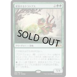 画像1: (FOIL)変容するケラトプス/Shifting Ceratops《日本語》【M20】