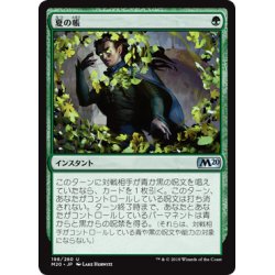 画像1: [EX+]夏の帳/Veil of Summer《日本語》【M20】
