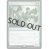 (プレリリースFOIL)大食のハイドラ/Voracious Hydra《日本語》【M20】
