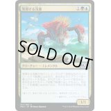 [EX]発現する浅瀬/Risen Reef《日本語》【M20】