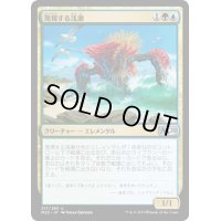 発現する浅瀬/Risen Reef《日本語》【M20】