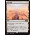 [EX+]死者の原野/Field of the Dead《日本語》【M20】