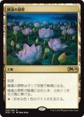 睡蓮の原野/Lotus Field《日本語》【M20】