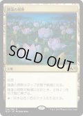 (FOIL)睡蓮の原野/Lotus Field《日本語》【M20】