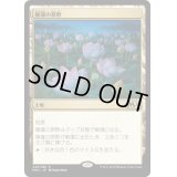 [HPLD]睡蓮の原野/Lotus Field《日本語》【M20】