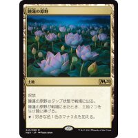 睡蓮の原野/Lotus Field《日本語》【M20】