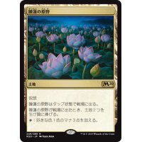 [EX+]睡蓮の原野/Lotus Field《日本語》【M20】