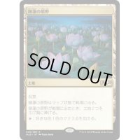 [EX](プロモスタンプ)睡蓮の原野/Lotus Field《日本語》【M20】