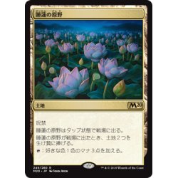 画像1: [EX+]睡蓮の原野/Lotus Field《日本語》【M20】