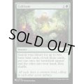 (LCC)耕作/Cultivate《英語》【Reprint Cards(Secret Lair Commander)】