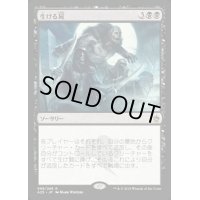 [EX+]生ける屍/Living Death《日本語》【A25】