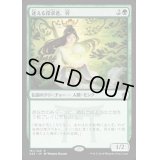[HPLD]迷える探求者、梓/Azusa, Lost but Seeking《日本語》【A25】
