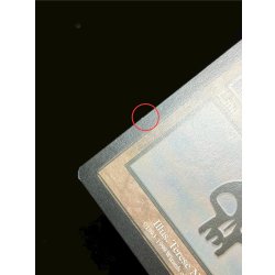 画像12: [EX]沼/Swamp《英語》【Guru Lands】#303