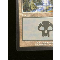 画像4: [EX]沼/Swamp《英語》【Guru Lands】#303