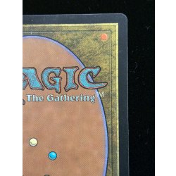 画像8: [EX]沼/Swamp《英語》【Guru Lands】#303