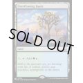 溢れ出た区画/Overflowing Basin《英語》【Reprint Cards(Secret Lair Commander)】