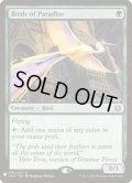[EX+]極楽鳥/Birds of Paradise《英語》【Reprint Cards(Mystery Booster)】