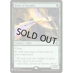 画像1: [EX+]極楽鳥/Birds of Paradise《英語》【Reprint Cards(Mystery Booster)】