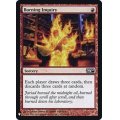[EX]燃え立つ調査/Burning Inquiry《英語》【Reprint Cards(Mystery Booster FOIL)】