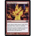 [EX+]燃え立つ調査/Burning Inquiry《英語》【Reprint Cards(Mystery Booster FOIL)】