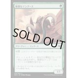 (FOIL)敏捷なマングース/Nimble Mongoose《日本語》【MH1】