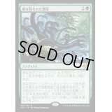 解き放たれた繁栄/Unbound Flourishing《日本語》【MH1】